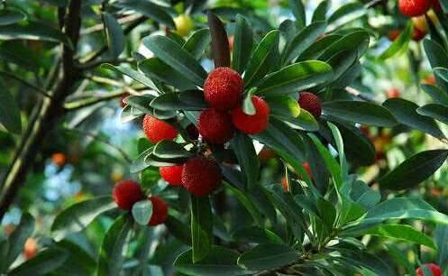 KY开元集团官网