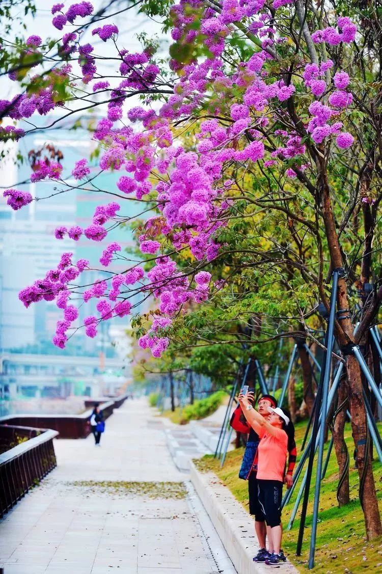 KY开元集团官网