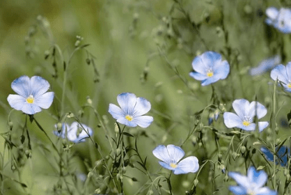 
社会之上 尽早明确这四个原理 将让你少走许多弯路‘ky集团首页’(图4)