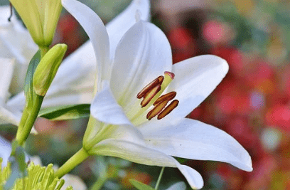 
社会之上 尽早明确这四个原理 将让你少走许多弯路‘ky集团首页’(图5)