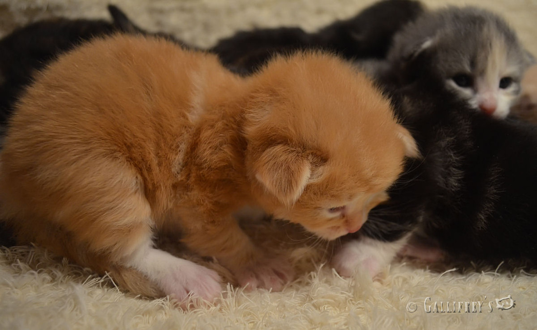 KY开元集团官网