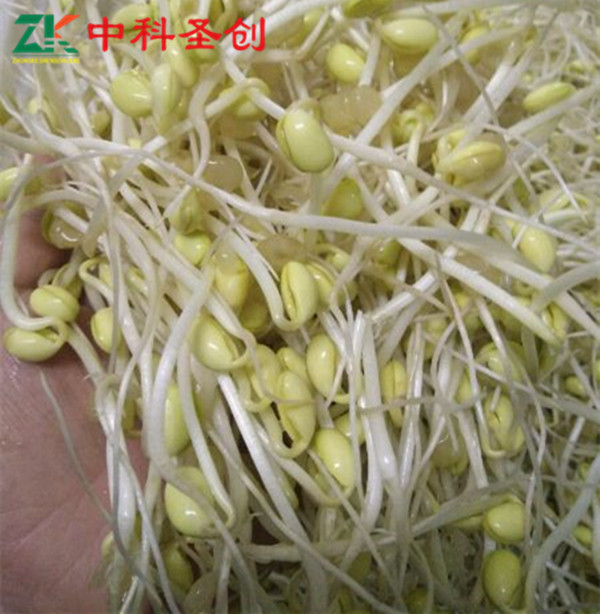 KY开元集团官网