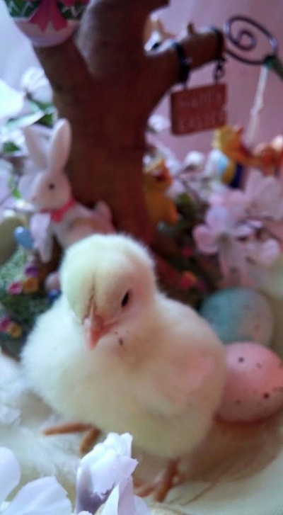 KY开元集团官网