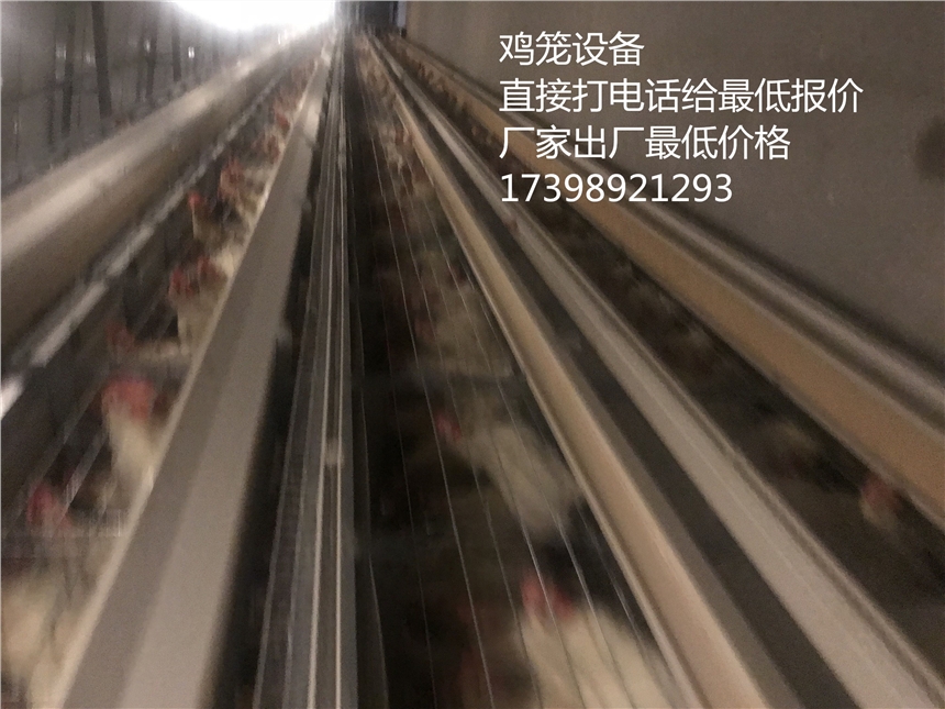 ‘KY开元集团官网’幸福的归属感(图1) ky集团首页