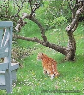 农业污染超工业,美丽中国怎么建“ky开元”(图2) ky集团首页