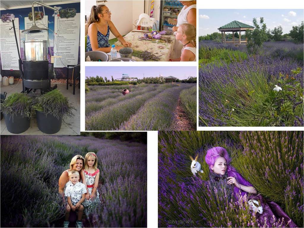 KY开元集团官网|2020一级消防工程师考试放水,会影响市场需求量吗?(图3) ky开元