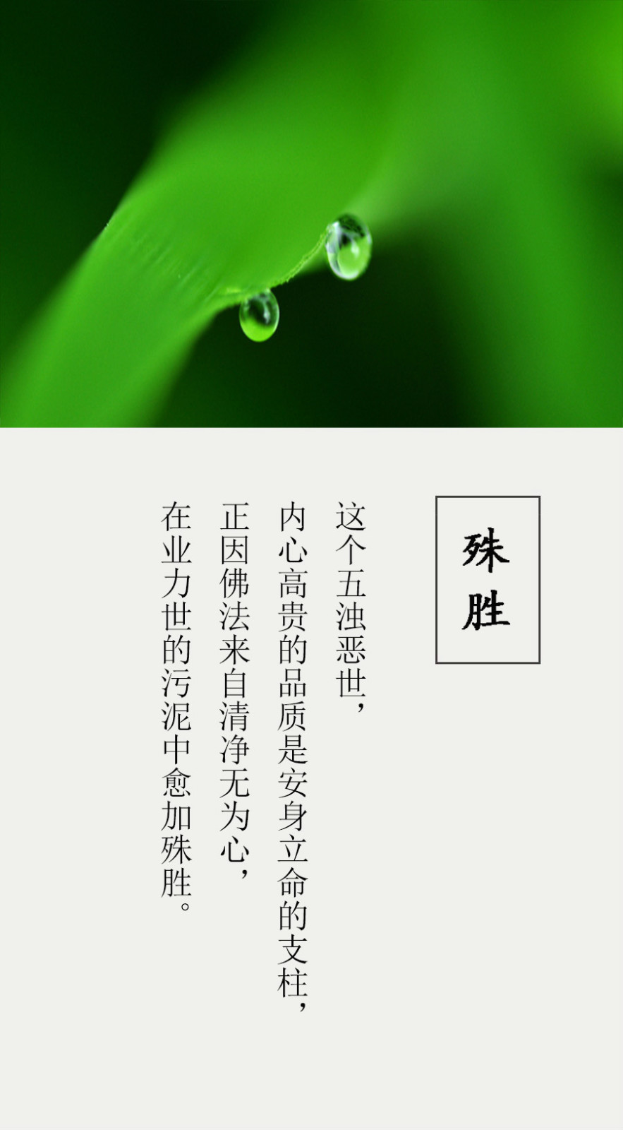 ky集团首页-郭士强是郭艾伦叔叔 对郭艾伦会比其他队员更严格些(图3) ky集团首页