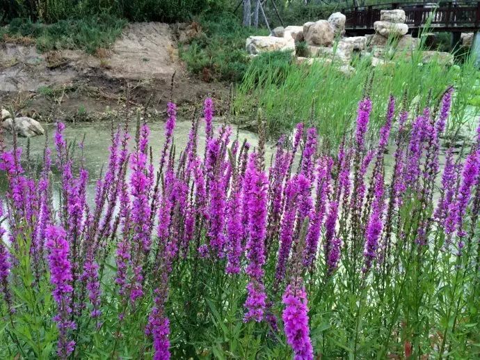 KY开元集团官网