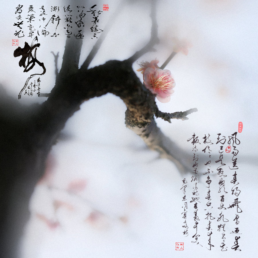 KY开元集团官网