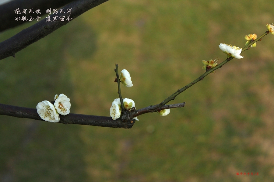 ky集团首页